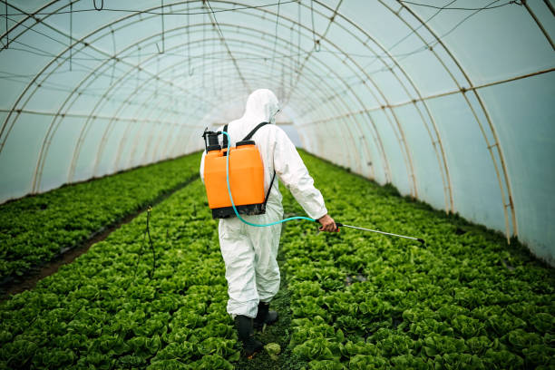 Best Affordable Pest Control Services  in Bayou Vista, TX