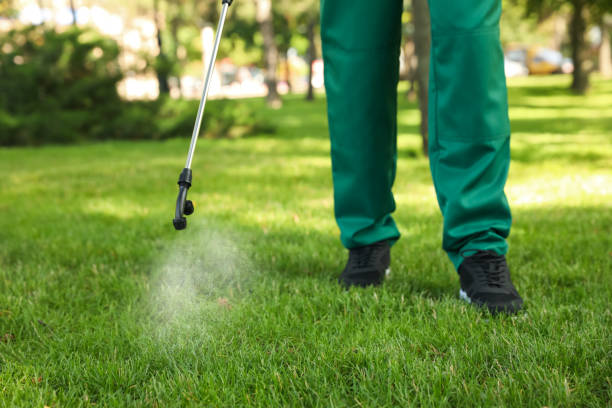 Best Emergency Pest Control  in Bayou Vista, TX