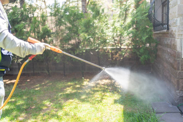Best Wasp Removal Services  in Bayou Vista, TX
