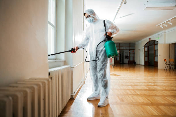 Best Affordable Pest Control Services  in Bayou Vista, TX