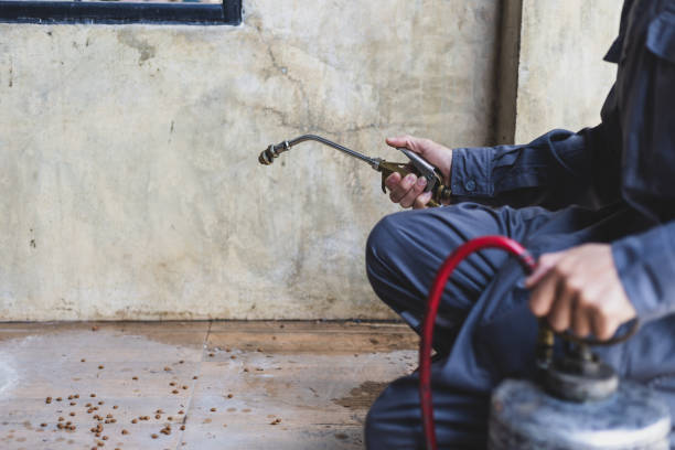 Best Affordable Pest Control Services  in Bayou Vista, TX